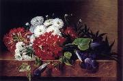 unknow artist Floral, beautiful classical still life of flowers.036 oil on canvas